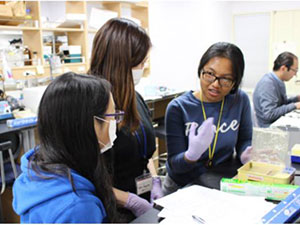 再生幹細胞生物学研究室では前回さくらサイエンスプログラムに参加後筑波大学大学院生となったRatuさんが直接体験指導をしてくれました